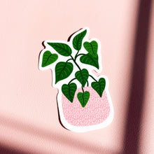 Load image into Gallery viewer, Green Pothos Plant Sticker