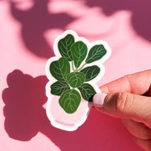 Load image into Gallery viewer, Fiddle Leaf Fig Plant Pot Sticker