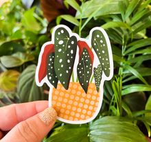 Load image into Gallery viewer, Begonia Maculata Plant Sticker