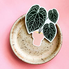 Load image into Gallery viewer, Anthurium Crystallinum Sticker