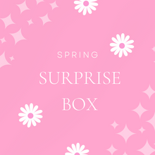 Load image into Gallery viewer, Spring Surprise Box