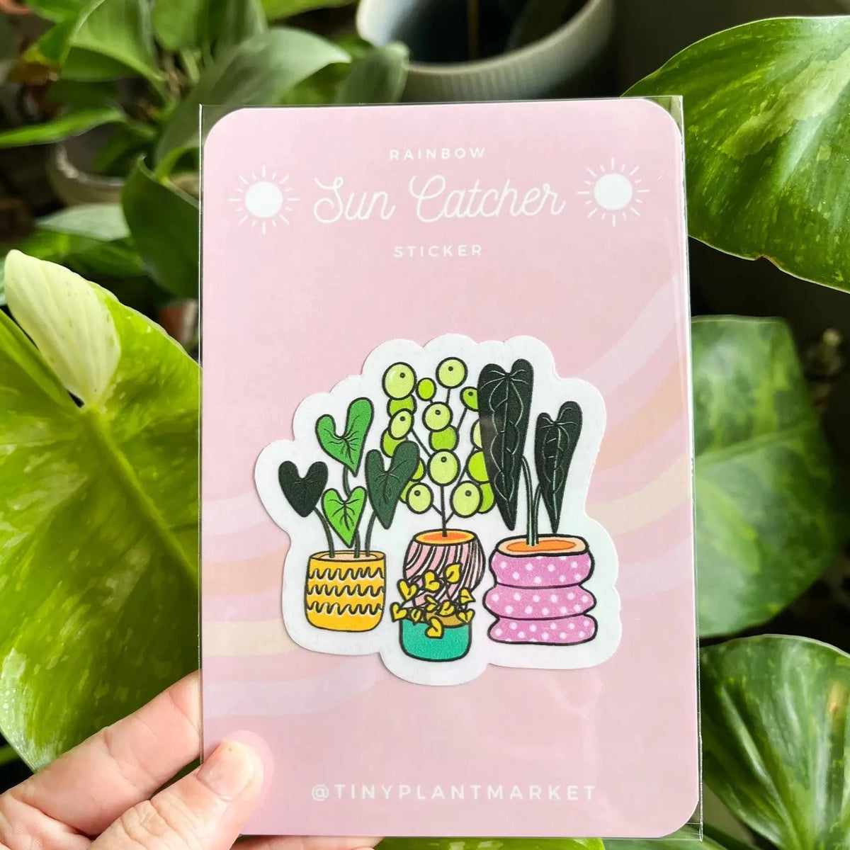 Tiny Plant Market Stickers - Some Call Me Crunchy