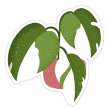Load image into Gallery viewer, Philodendron White Wizard Sticker