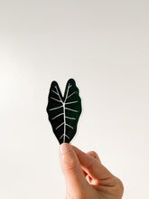 Load image into Gallery viewer, Alocasia Frydek Leaf Sticker