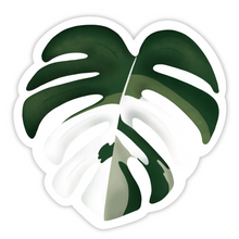 Load image into Gallery viewer, Monstera Albo Sticker