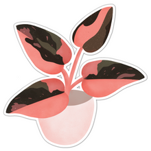 Load image into Gallery viewer, Pink Princess Philodendron Sticker
