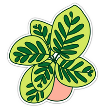 Load image into Gallery viewer, Calathea Plant Sticker