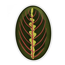 Load image into Gallery viewer, Red Prayer Plant Leaf Sticker