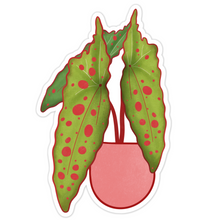 Load image into Gallery viewer, Begonia Amphioxus Plant Sticker