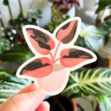 Load image into Gallery viewer, Pink Princess Philodendron Sticker