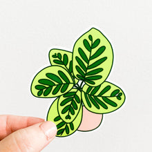 Load image into Gallery viewer, Calathea Plant Sticker