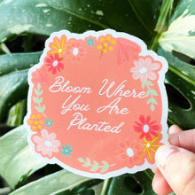 Load image into Gallery viewer, Bloom Where You Are Planted Sticker