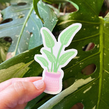 Load image into Gallery viewer, Bird of Paradise Plant Sticker
