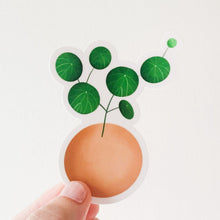 Load image into Gallery viewer, Stephania Erecta Plant Sticker