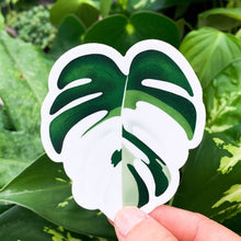 Load image into Gallery viewer, Monstera Albo Sticker