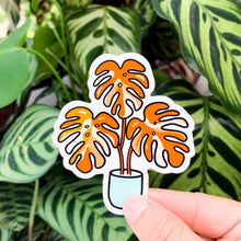Load image into Gallery viewer, Monstera Dreamscicle Sticker