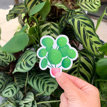 Load image into Gallery viewer, Pilea Peperomioides Plant Sticker