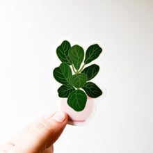 Load image into Gallery viewer, Fiddle Leaf Fig Plant Pot Sticker