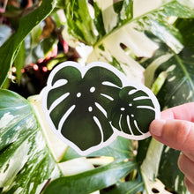 Load image into Gallery viewer, Monstera Plant Pals Sticker