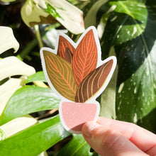 Load image into Gallery viewer, Chocolate Agalonema Sticker