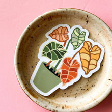 Load image into Gallery viewer, Alocasia Plant Sticker