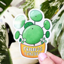 Load image into Gallery viewer, Pilea Peperomioides Plant, Friends Forever Sticker