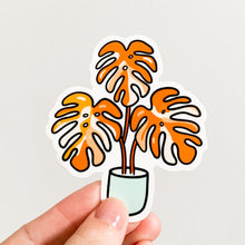 Load image into Gallery viewer, Monstera Dreamscicle Sticker