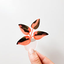 Load image into Gallery viewer, Pink Princess Philodendron Sticker