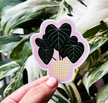 Load image into Gallery viewer, Philodendron Gloriosum Plant Sticker