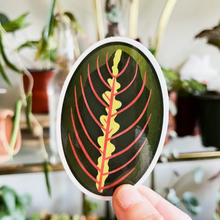 Load image into Gallery viewer, Red Prayer Plant Leaf Sticker