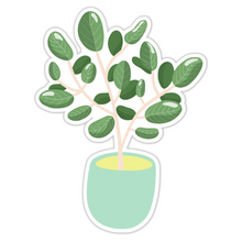 Load image into Gallery viewer, Ficus Audrey Plant Pot Sticker