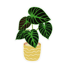 Load image into Gallery viewer, Philodendron Verrucosum Plant Sticker