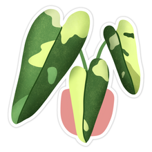 Load image into Gallery viewer, Philodendron Jose Buono Plant Sticker