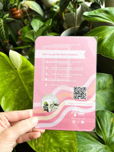 Load image into Gallery viewer, Cactus Garden Sun Catcher Sticker