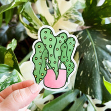 Load image into Gallery viewer, Green Begonia Sticker