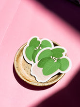 Load image into Gallery viewer, Philodendron Fuzzy Petiole Plant Sticker