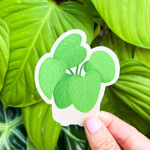 Load image into Gallery viewer, Philodendron Fuzzy Petiole Plant Sticker