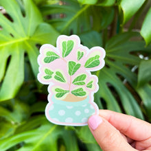Load image into Gallery viewer, Ficus Triangularis Variegata Plant Sticker