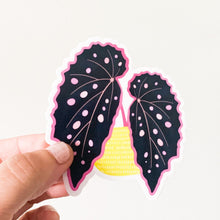 Load image into Gallery viewer, Pink Spotted Begonia Sticker