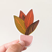 Load image into Gallery viewer, Chocolate Agalonema Sticker