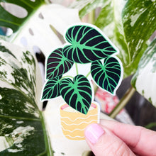 Load image into Gallery viewer, Philodendron Verrucosum Plant Sticker