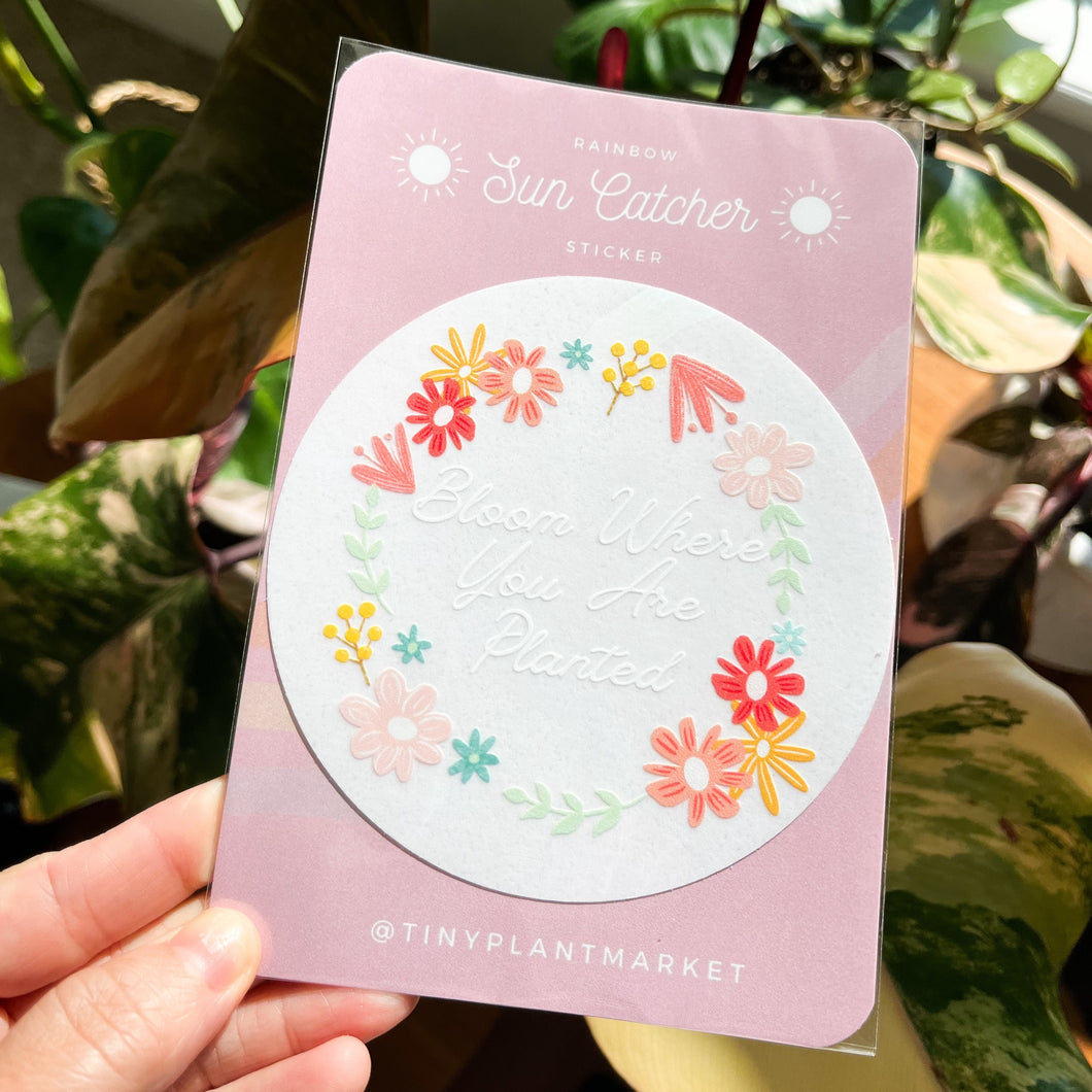 Bloom Where You Are Planted Sun Catcher Sticker