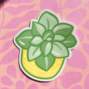 Green Succulent Sticker