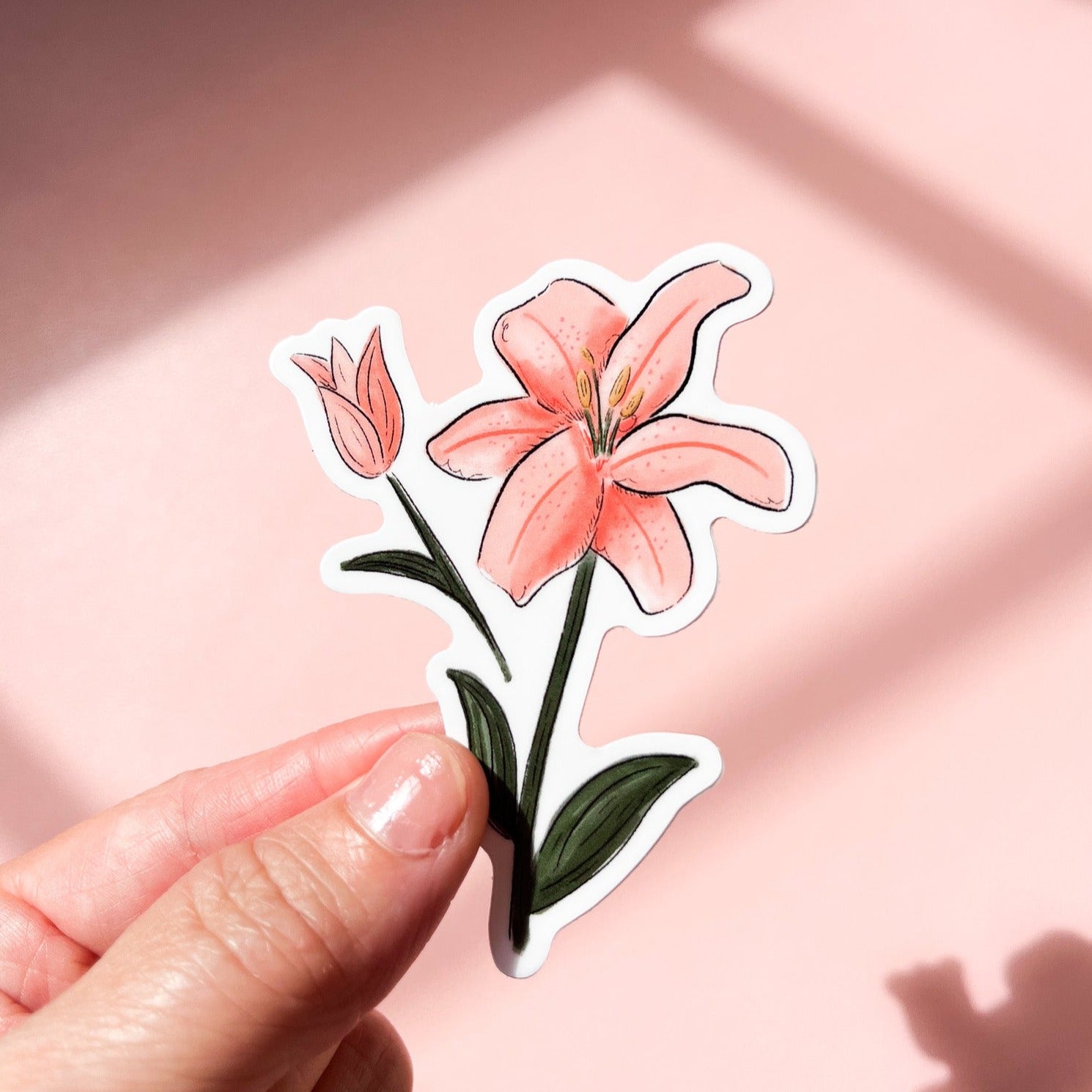 lily flower stickers Pink Lily Flower Sticker