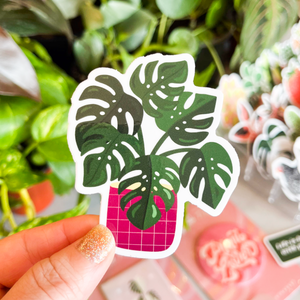 Monstera Deliciosa Plant Sticker