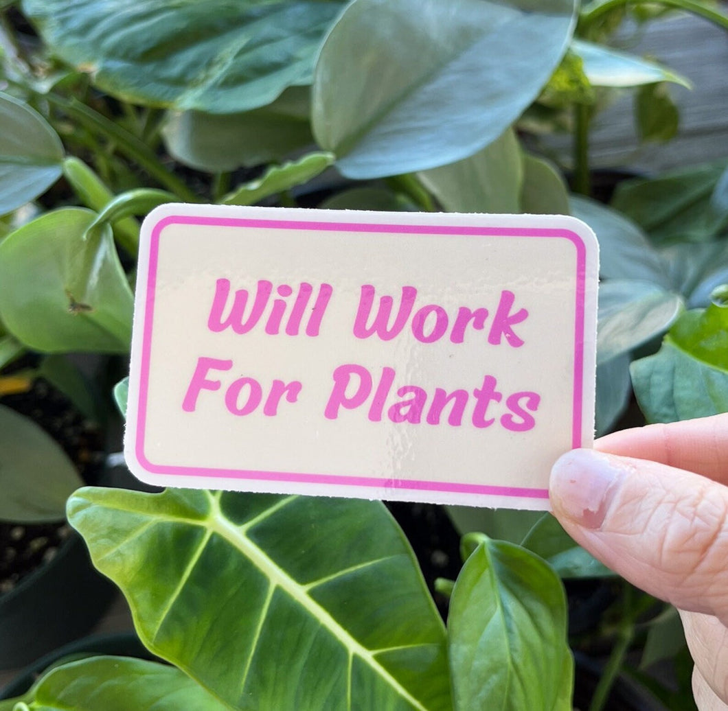 Will Work For Plants Sticker