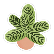 Load image into Gallery viewer, Calathea Fishbone Plant Sticker
