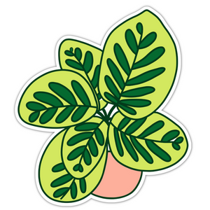 Calathea Plant Sticker
