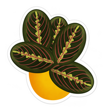 Load image into Gallery viewer, Red Prayer Plant Sticker
