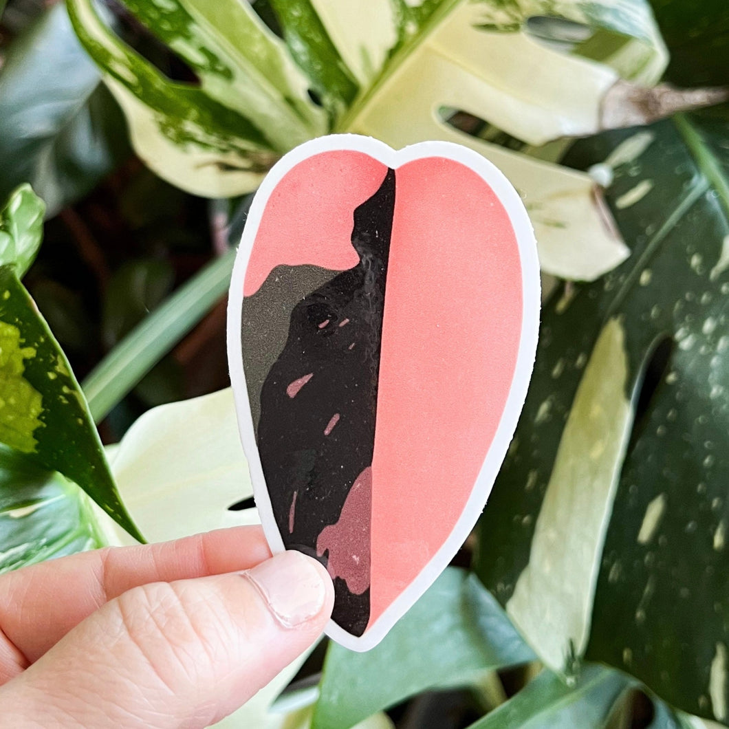 Pink Princess Philodendron Leaf Sticker
